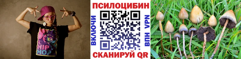 Купить закладки  Мирный  Псилоцибиновые грибы мицелий 