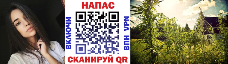 Купить  Мирный  Шишки марихуана White Widow 